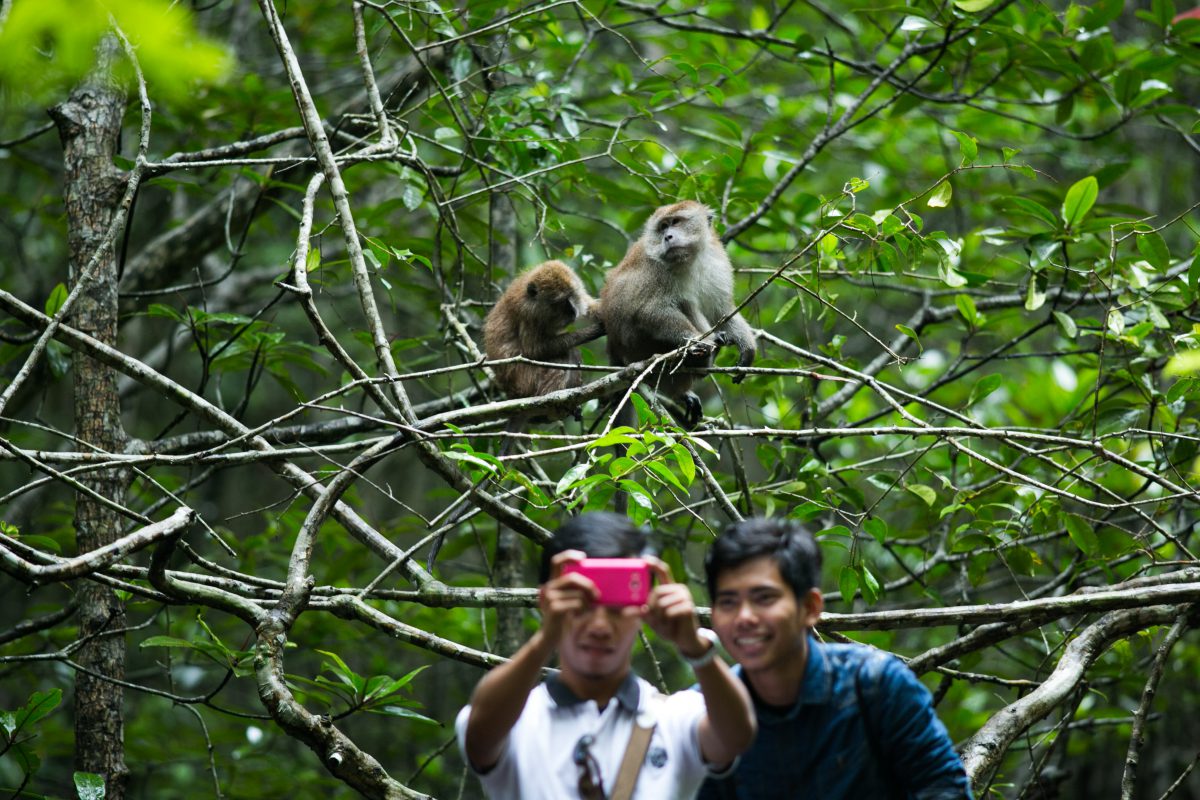 Langkawi Up Close and Personal