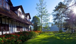 The Lakehouse Cameron Highlands