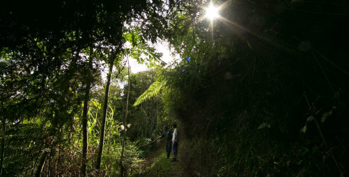 Off the Beaten Path in Your Own Backyard