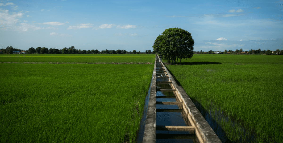 Shah Alam: New Sights in Old Villages