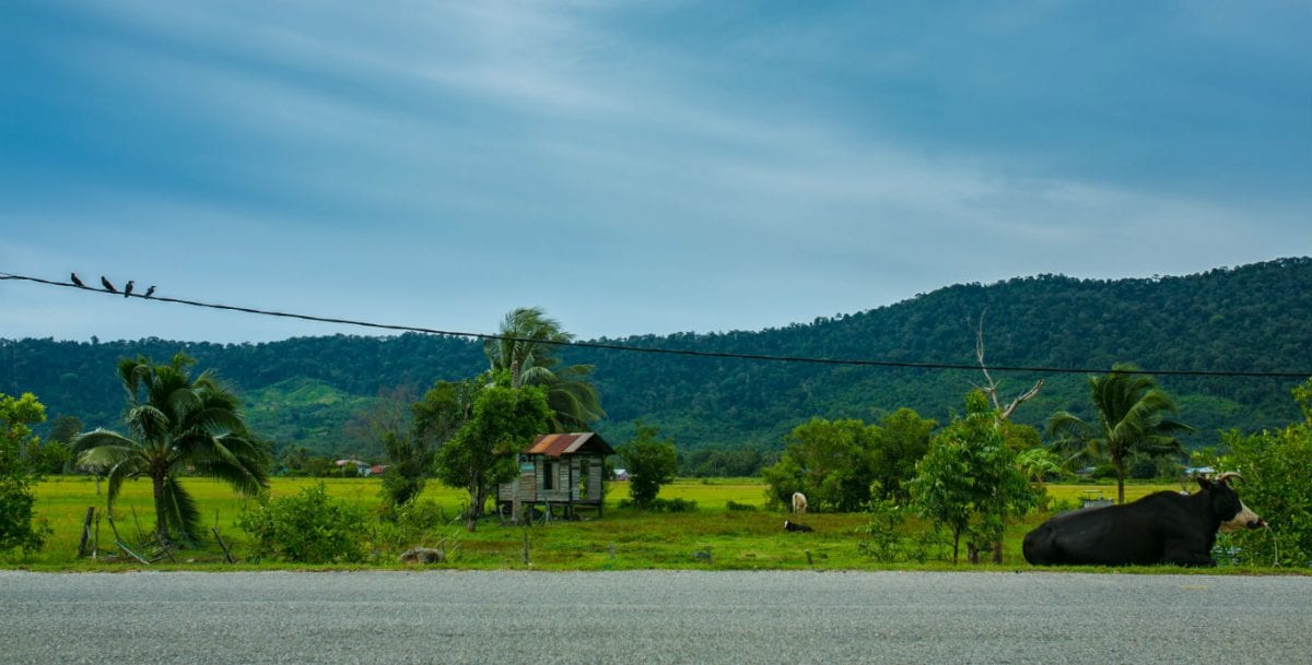 Langkawi: Taking it Slow