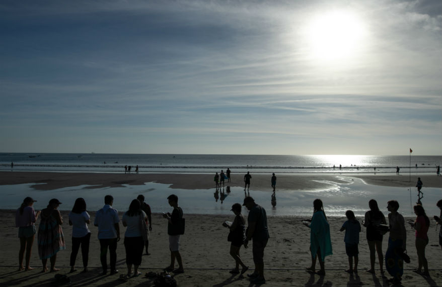 Kuta Beach Sea Turtle Conservation Centre - Hpaper Online