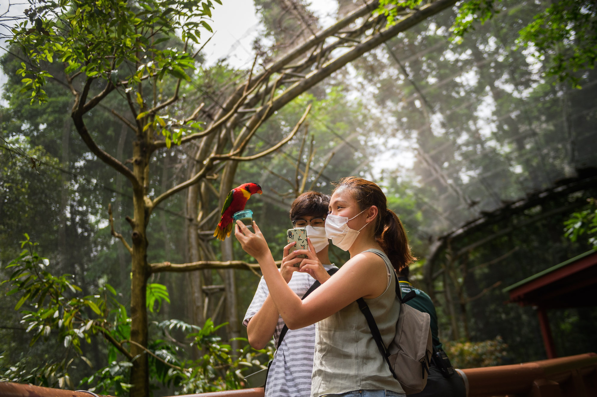 The Sustainable Zoo in Singapore – Going  Green for Wildlife