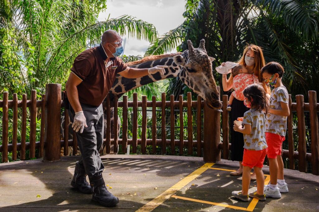 The Sustainable Zoo in Singapore Going Green for Wildlife Hpaper