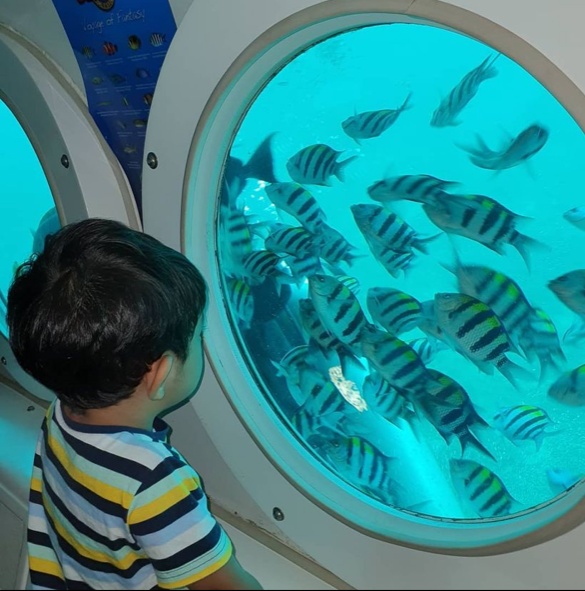 Fun-filled Water Adventures for the Family in Bali