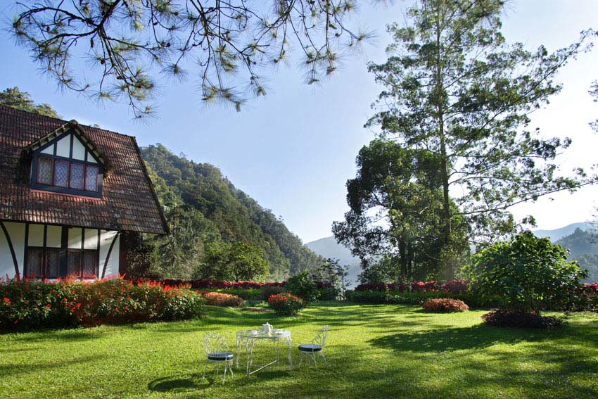 Go on a Digital Detox at The Lakehouse Cameron Highlands